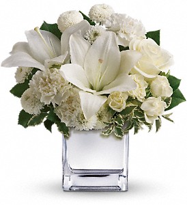 Teleflora's Peace & Joy Bouquet in Sewell NJ, Lamp Light Florist And Gift