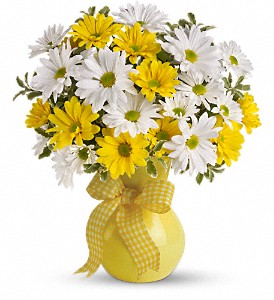 Teleflora's Upsy Daisy in Sewell NJ, Lamp Light Florist And Gift
