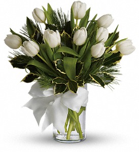 Tulips and Pine in Sewell NJ, Lamp Light Florist And Gift