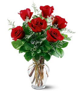 6 Red Roses in Sewell NJ, Lamp Light Florist And Gift