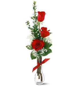 3 Red Roses in Sewell NJ, Lamp Light Florist And Gift