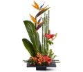 Paradise Found in Sewell NJ Lamp Light Florist And Gift