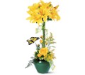 Lily Topiary in Sewell NJ Lamp Light Florist And Gift