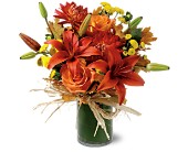 Orange Zest in Sewell NJ, Lamp Light Florist And Gift