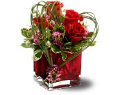 Teleflora's Sweet Thoughts in Sewell�NJ, Lamp Light Florist And Gift
