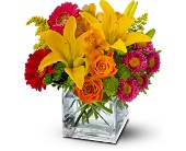 Teleflora's Summertime Splash in Sewell NJ, Lamp Light Florist And Gift