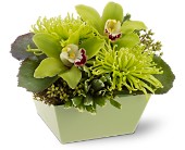 Go Green in Sewell NJ, Lamp Light Florist And Gift