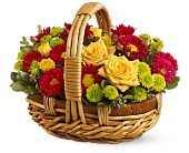 Bundle of Sunshine in Sewell NJ, Lamp Light Florist And Gift