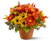 Sugar Maples in Sewell NJ, Lamp Light Florist And Gift