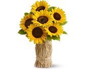 Hayride in Sewell NJ, Lamp Light Florist And Gift