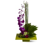 Zen Artistry in Sewell NJ, Lamp Light Florist And Gift