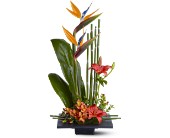 Paradise Found in Sewell NJ, Lamp Light Florist And Gift