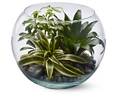 Sphere of Tranquility in Sewell�NJ, Lamp Light Florist And Gift