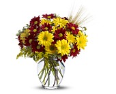 Fall for Daisies in Sewell NJ, Lamp Light Florist And Gift