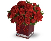 Teleflora's Precious Love in Sewell�NJ, Lamp Light Florist And Gift