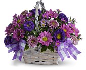 Daisy Day Dreams in Sewell�NJ, Lamp Light Florist And Gift