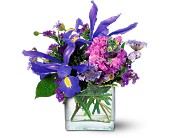 Blues for You in Sewell�NJ, Lamp Light Florist And Gift