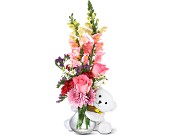 Teleflora's Bear Hug Bear with Pink Roses in Sewell�NJ, Lamp Light Florist And Gift