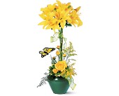Lily Topiary in Sewell NJ, Lamp Light Florist And Gift