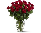 Two Dozen Red Roses in Sewell NJ, Lamp Light Florist And Gift