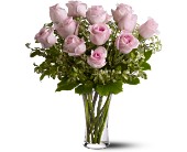 A Dozen Pink Roses in Sewell NJ, Lamp Light Florist And Gift