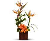 Teleflora's Bamboo Paradise in Sewell NJ, Lamp Light Florist And Gift