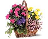 Blooming Garden Basket in Sewell NJ, Lamp Light Florist And Gift