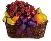 Fruits and Blooms Basket in Sewell NJ, Lamp Light Florist And Gift