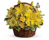 Basket Full of Wishes in Sewell NJ, Lamp Light Florist And Gift