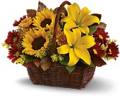 Golden Days Basket in Sewell NJ, Lamp Light Florist And Gift