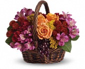 Sending Joy in Sewell NJ, Lamp Light Florist And Gift