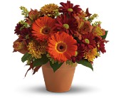 Golden Glow in Sewell NJ, Lamp Light Florist And Gift