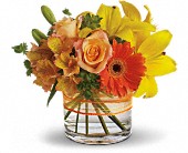 Sunny Siesta in Sewell NJ, Lamp Light Florist And Gift