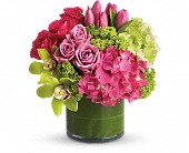 New Sensations in Sewell NJ, Lamp Light Florist And Gift