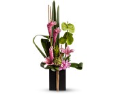 Now and Zen in Sewell NJ, Lamp Light Florist And Gift
