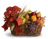 Fresh Picked in Sewell NJ, Lamp Light Florist And Gift