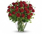 My Perfect Love - Long Stemmed Red Roses in Sewell NJ, Lamp Light Florist And Gift