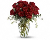 Full Heart - 16 Premium Red Roses in Sewell�NJ, Lamp Light Florist And Gift