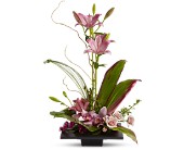 Imagination Blooms with Cymbidium Orchids in Sewell�NJ, Lamp Light Florist And Gift