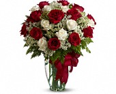 Love's Divine - 20 Premium Long Stemmed Roses in Sewell�NJ, Lamp Light Florist And Gift