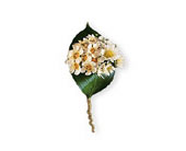 Tiny Blossoms Boutonniere in Sewell NJ, Lamp Light Florist And Gift