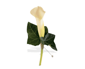 Miniature Calla Boutonniere in Sewell NJ, Lamp Light Florist And Gift