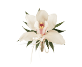 Cymbidium Orchid Corsage in Sewell NJ, Lamp Light Florist And Gift