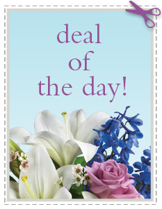Designer's Choice Bouquet in Sewell NJ, Lamp Light Florist And Gift