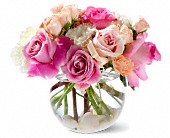 Lamp Light Florist And Gift, Sewell, New Jersey - Teleflora's Roses on the Rocks, picture