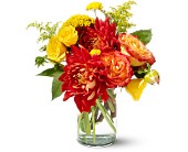 Lamp Light Florist And Gift, Sewell, New Jersey - Teleflora's Dazzling Dahlias, picture