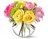 Lamp Light Florist And Gift, Sewell, New Jersey - Teleflora's Pink Lemonade Roses, picture