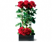 Lamp Light Florist And Gift, Sewell, New Jersey - Scarlet Splendor Roses, picture