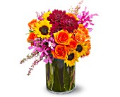 Lamp Light Florist And Gift, Sewell, New Jersey - Summer Salsa, picture