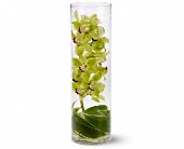 Lamp Light Florist And Gift, Sewell, New Jersey - Zensational, picture